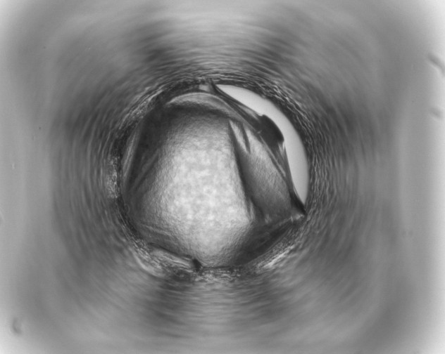 X0000093220868200710241215