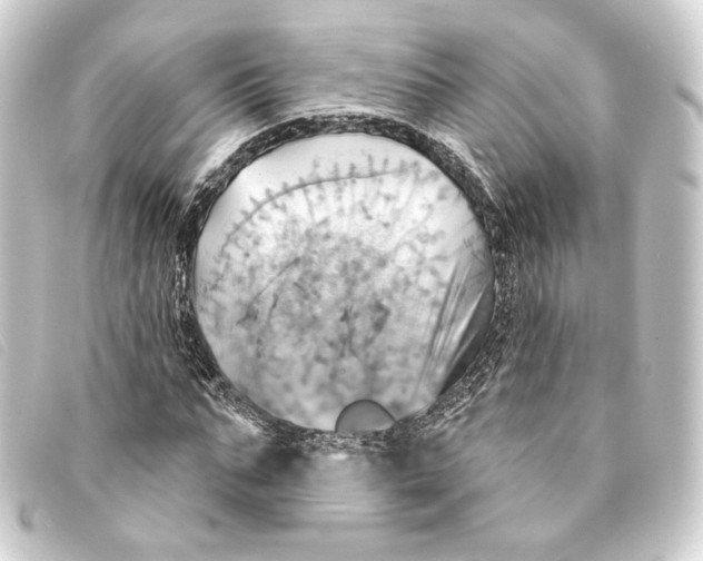 X0000093220871200710241215