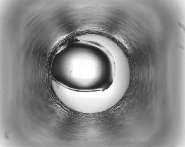 X0000093220872200710241215