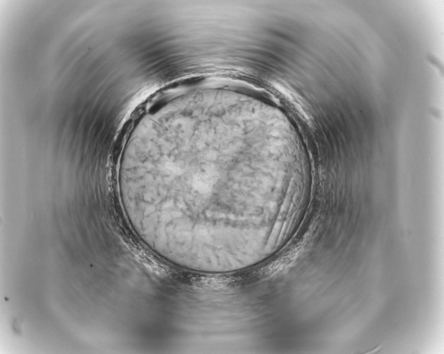 X0000093220875200710241214