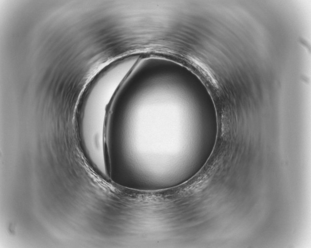 X0000093220876200710241214