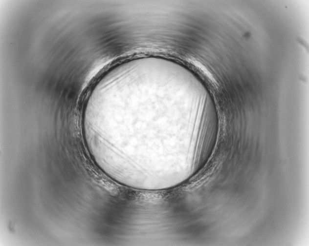 X0000093220878200710241214