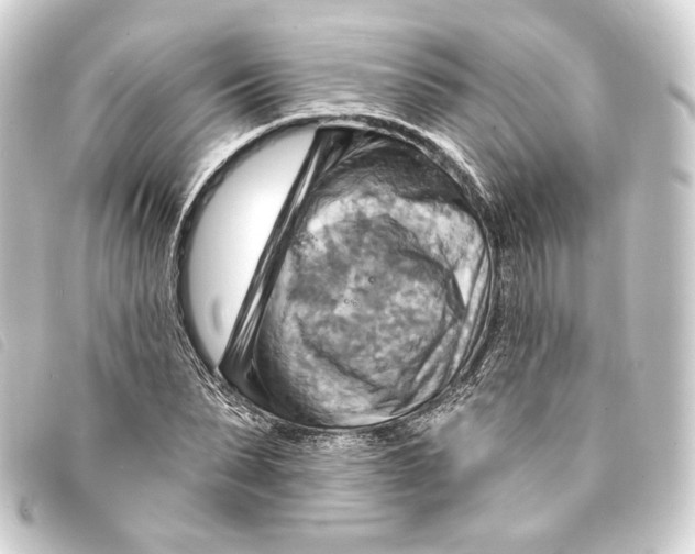 X0000093220879200710241214