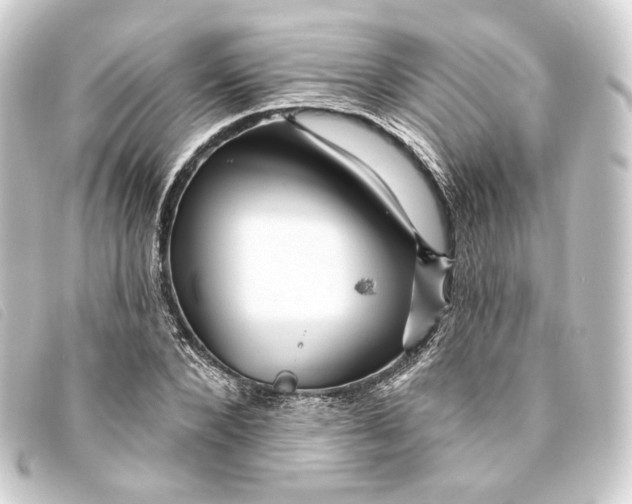 X0000093220880200710241214