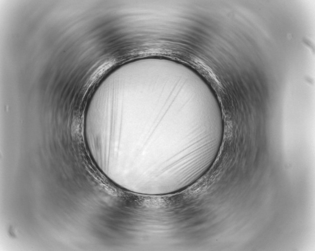 X0000093220882200710241214