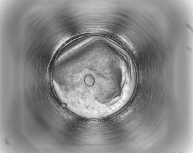 X0000093220883200710241214