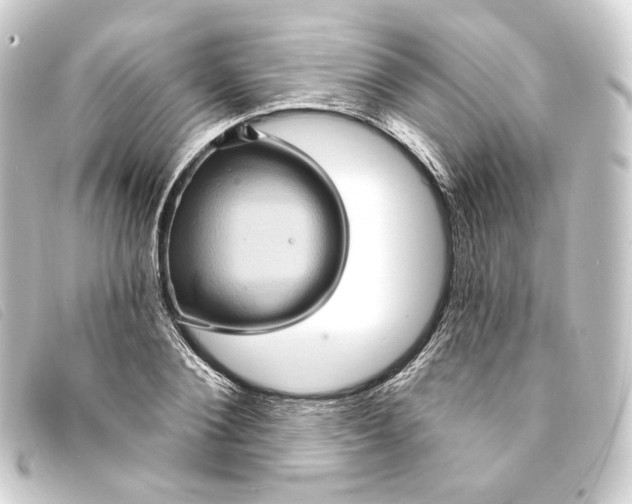 X0000093220884200710241214