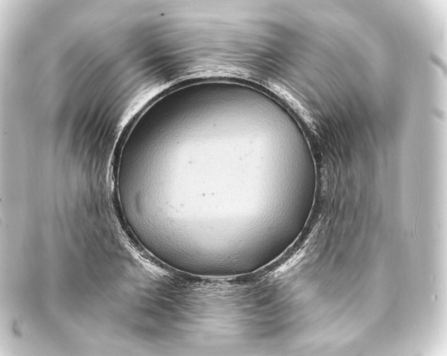 X0000093220885200710241214