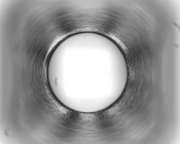 X0000093220886200710241214