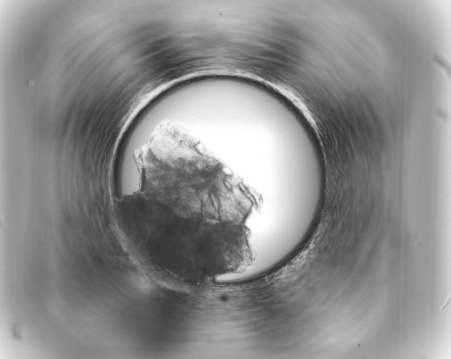 X0000093220887200710241214