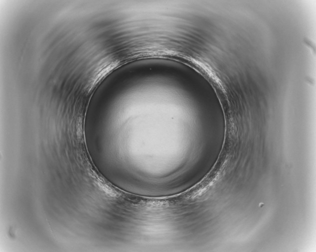 X0000093220889200710241214