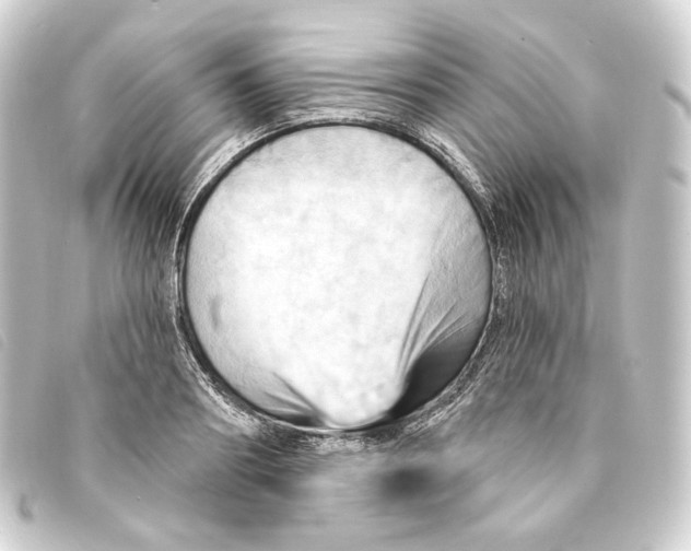 X0000093220890200710241214