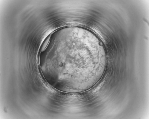 X0000093220891200710241214