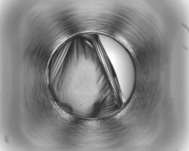 X0000093220892200710241214