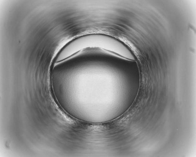 X0000093220894200710241214