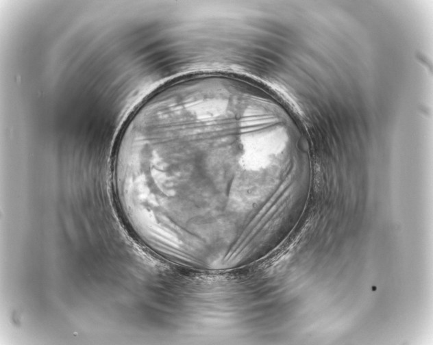 X0000093220895200710241214