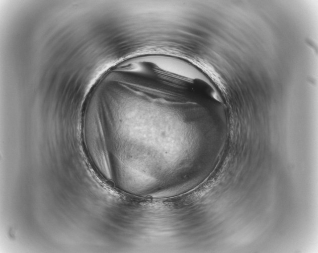 X0000093220896200710241214