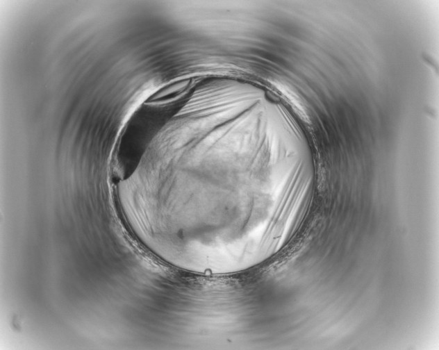 X0000093220899200710241214