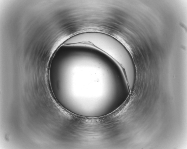 X0000093220901200710241214