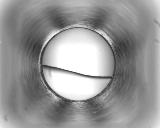 X0000093220902200710241214