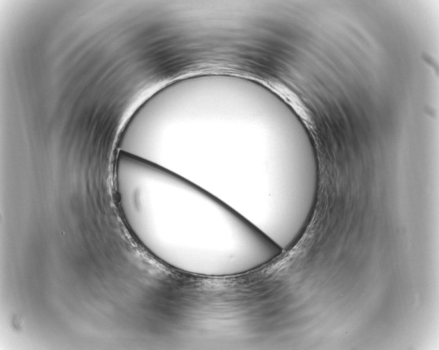 X0000093220904200710241214