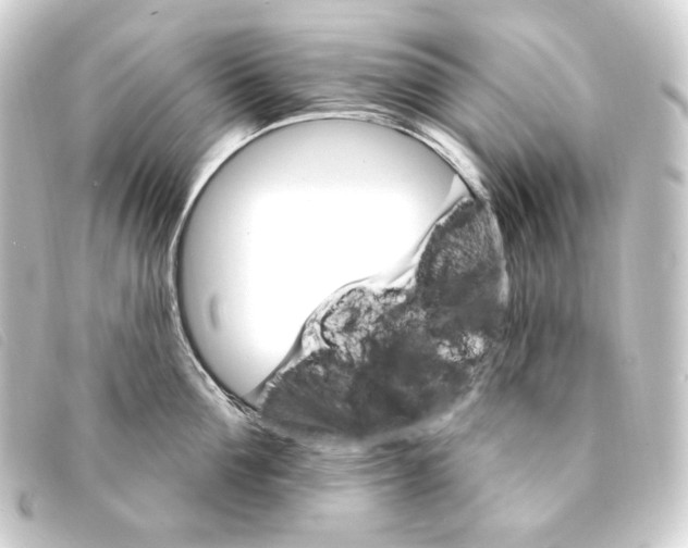 X0000093220907200710241214