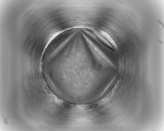 X0000093220908200710241214