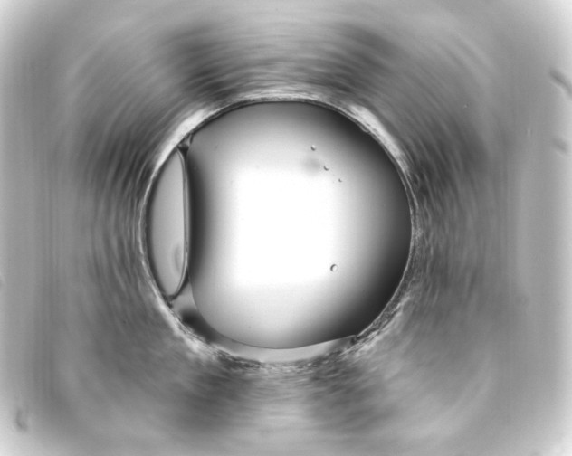 X0000093220909200710241214