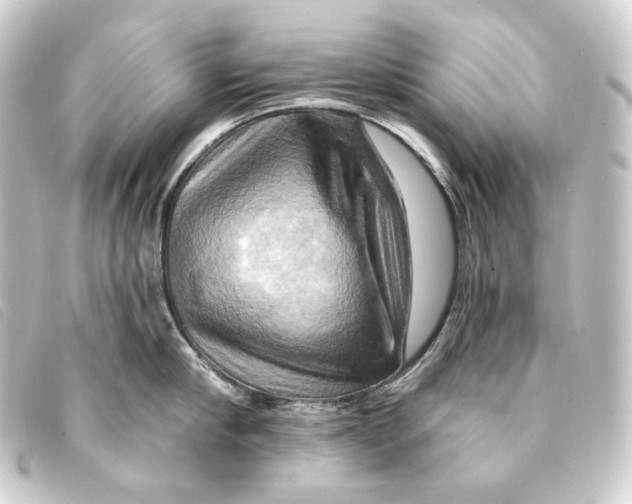 X0000093220910200710241214