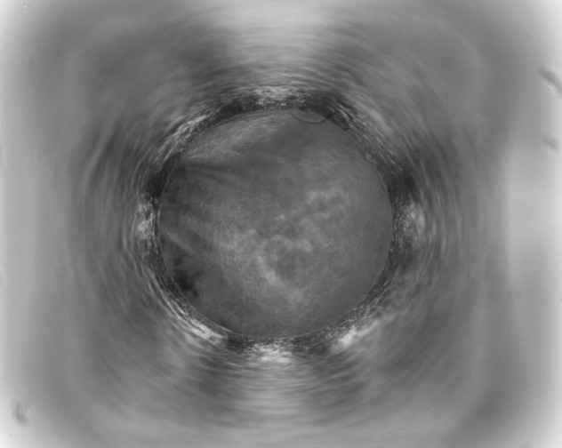 X0000093220914200710241213