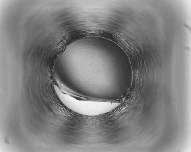 X0000093220916200710241214