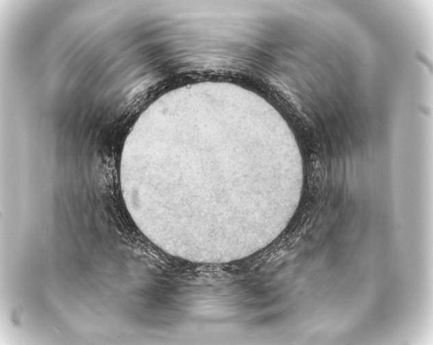 X0000093220918200710241214