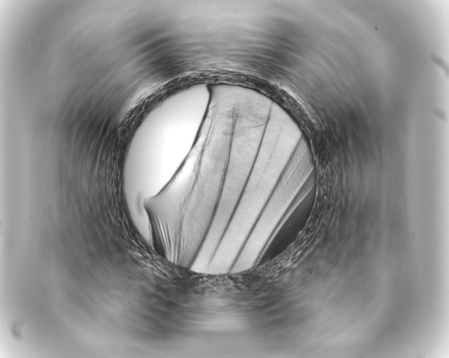 X0000093220919200710241214