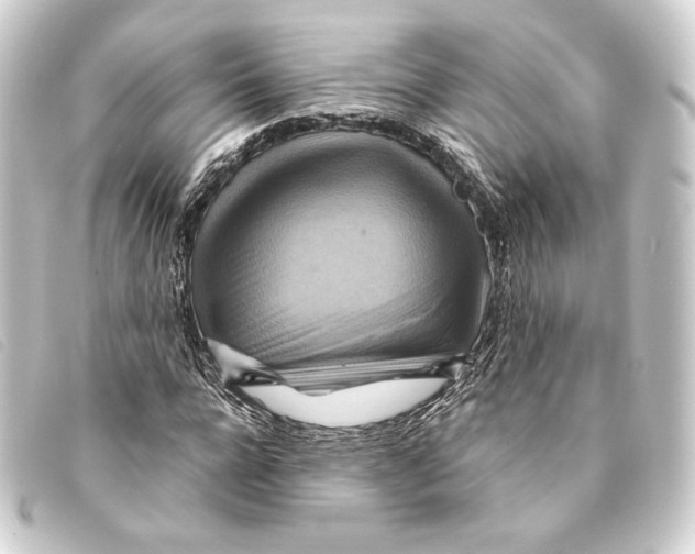 X0000093220920200710241214