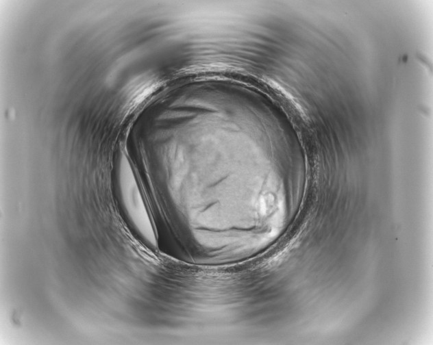 X0000093220921200710241214