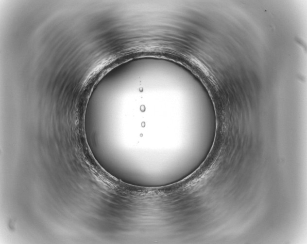 X0000093220922200710241214