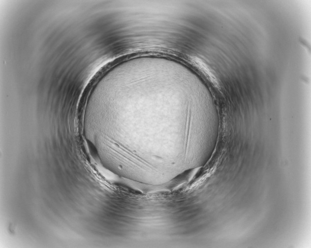 X0000093220924200710241214