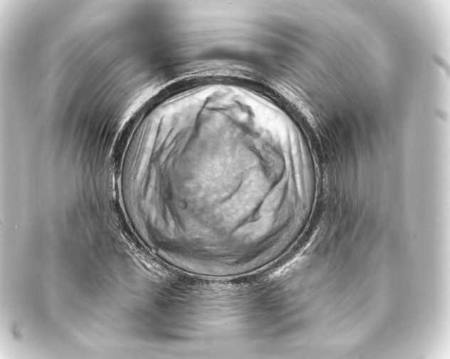 X0000093220925200710241214