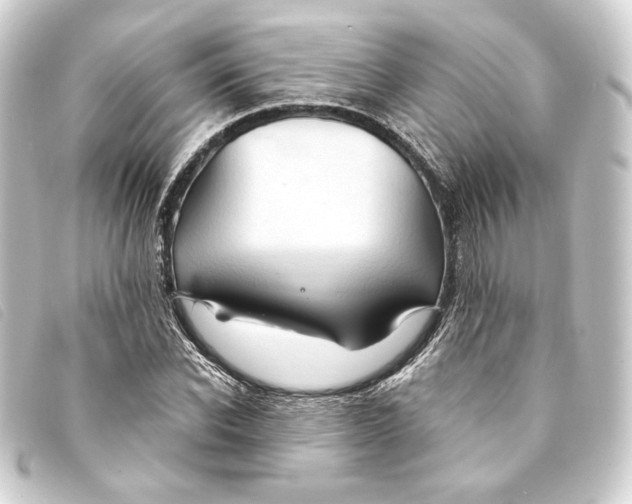 X0000093220926200710241214