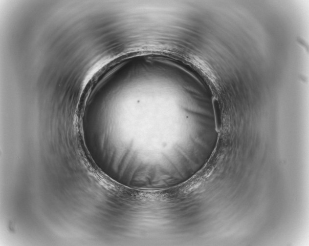 X0000093220928200710241214