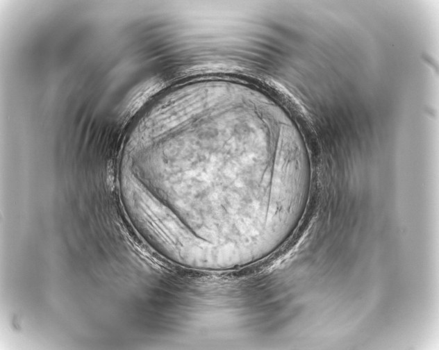 X0000093220929200710241214