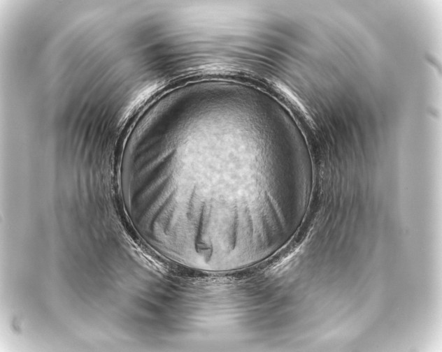 X0000093220930200710241214