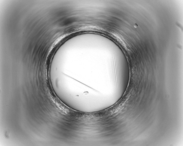 X0000093220931200710241214