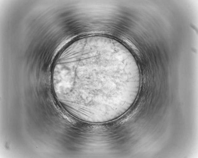 X0000093220933200710241214