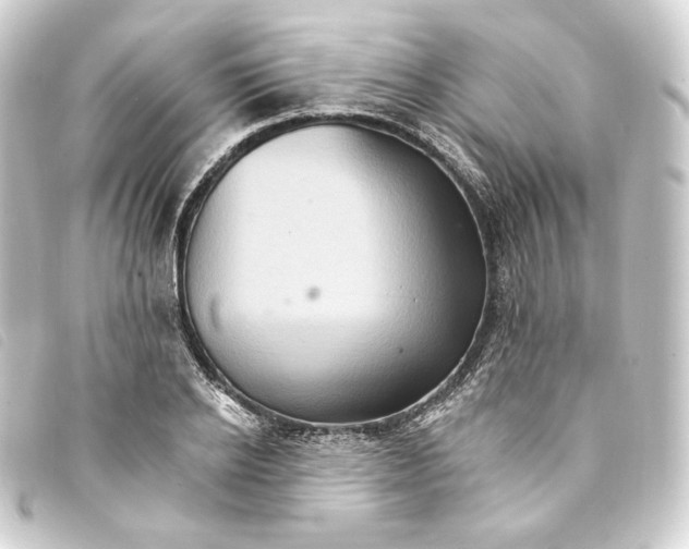 X0000093220934200710241214