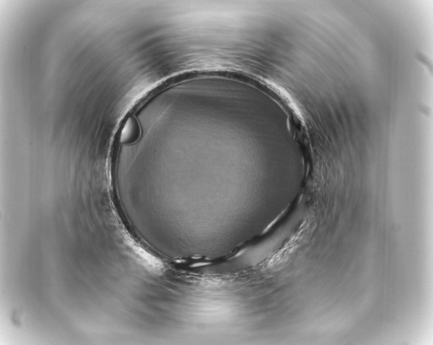 X0000093220935200710241214