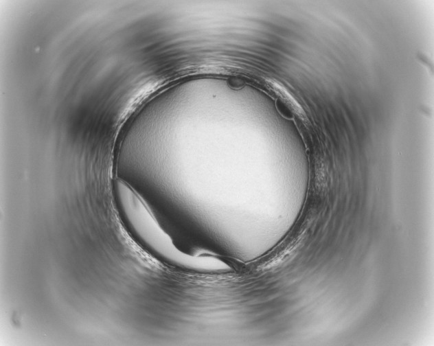 X0000093220938200710241214