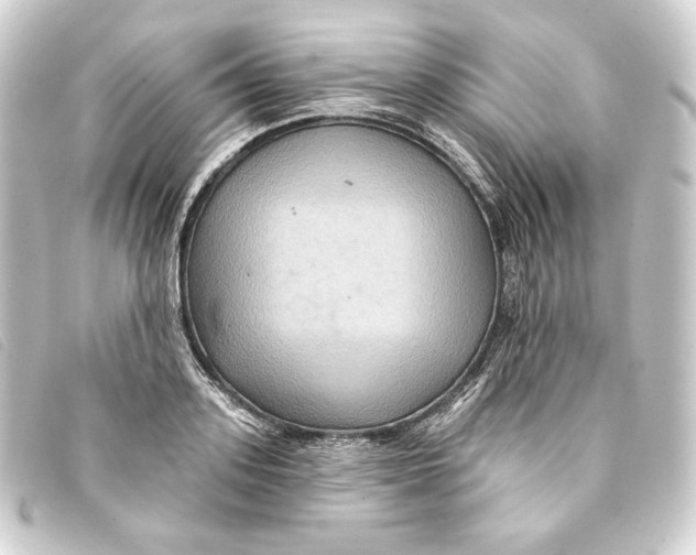 X0000093220939200710241214