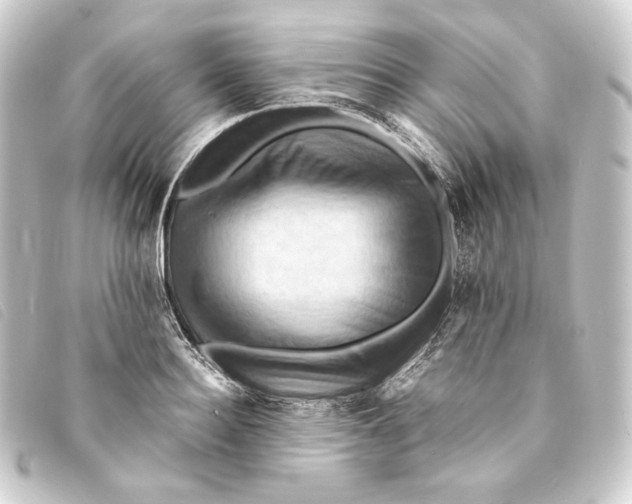 X0000093220940200710241214