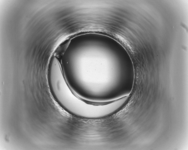 X0000093220942200710241214